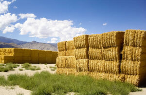 Understanding Why Baler Twine is Perfect for Hay Baling baler twine